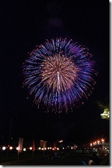 大したもん蛇まつり花火大会