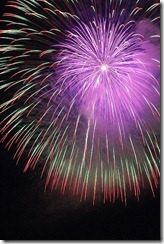 大したもん蛇まつり花火大会