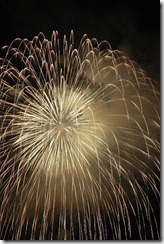 大したもん蛇まつり花火大会