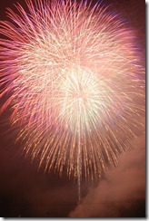 大したもん蛇まつり花火大会 大したもん蛇まつり花火大会