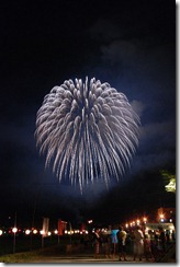 大したもん蛇まつり花火大会 大したもん蛇まつり花火大会