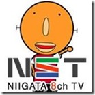 ＮＳＴナシテ君