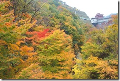大石ダム付近の紅葉