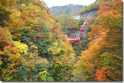 大石ダム付近の紅葉