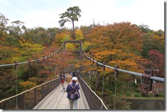 鷹の巣吊り橋付近の紅葉