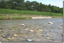 清流荒川の支流女川の水の綺麗な事！！