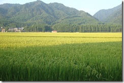 2010/8/23田園風景