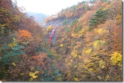 大石ダム紅葉状況
