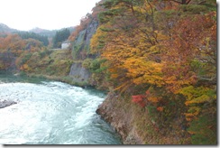 鷹の巣紅葉状況