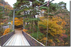 鷹の巣吊橋紅葉状況