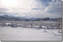 荒川土手からの雪景色