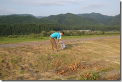 荒川堤防のゴミ拾い