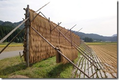 はさがけ