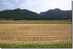 稲刈り後の田んぼ