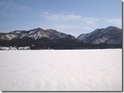 裏の田んぼの雪化粧