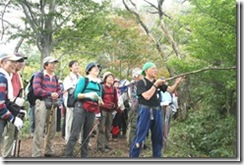 201009132st_thumb