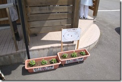 園児の似顔絵とお花がセットで置かれます。