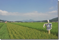 関川村の田園風景