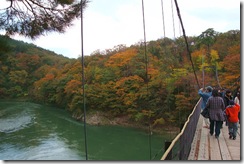 鷹の巣吊り橋付近の紅葉