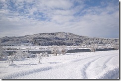 荒川土手からの雪景色