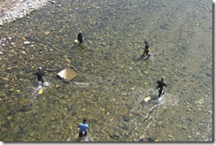 鮎の伝統漁：ウナワ漁の実演