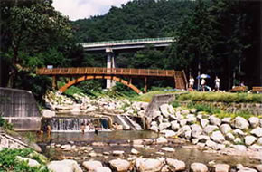 荒川河川公園