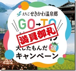 200608_えちごせきかわ温泉_チラシ